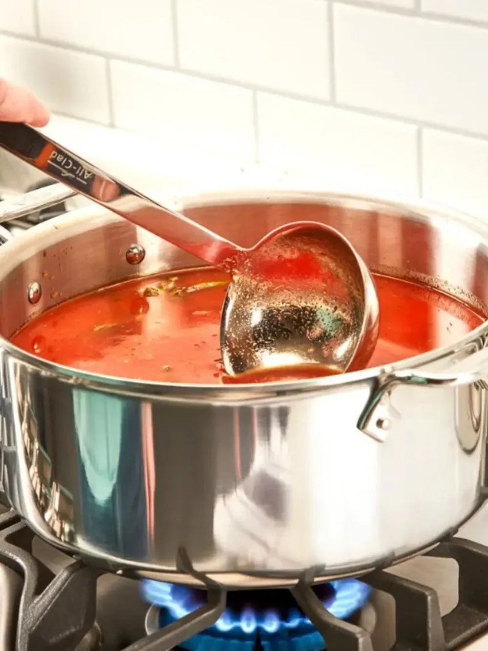 All-Clad D3 Tri-Ply Stainless-Steel 6 QUART Stock Pot with LID Pan NEW!